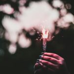 pexels-rahulp9800-3135231