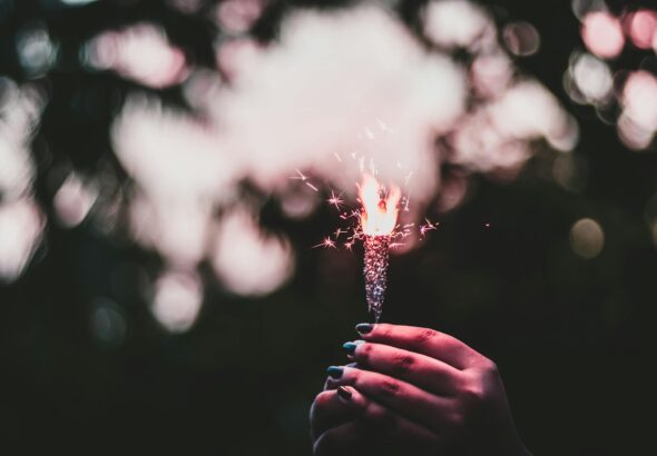 pexels-rahulp9800-3135231